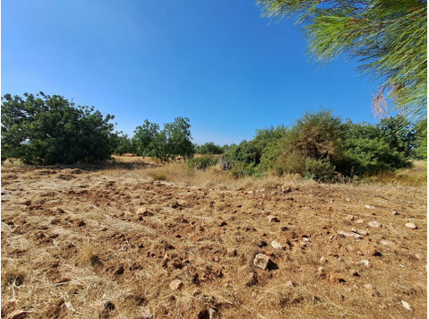 Outstanding piece of land in the beautiful village of… - Rumah