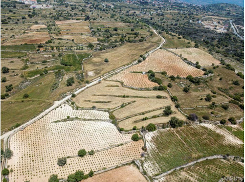 Residential land in Pachna village, in Limassol. 
It has an… - வீடுகள் 