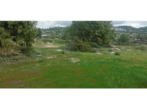 Residential land of 11037sqm located in Pera Pedi village… - Houses