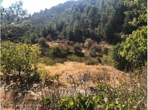 Residential land of 2342 m2 situated in Kyperounta village… - வீடுகள் 