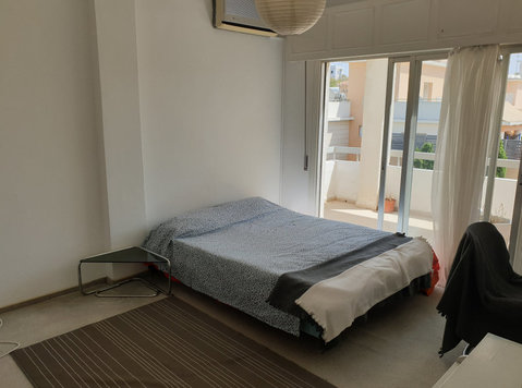 Erasmus Student Accommodation Nicosia -Luxury Penthouse - Apartemen
