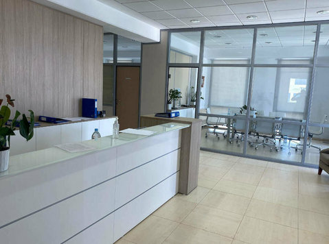 Luxury Whole Floor Office - Prime Location in Nicosia - دفتر کار/بازرگانی