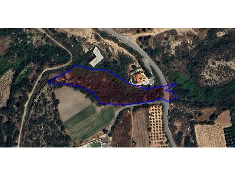 A large parcel of land in Kissonerga village, Paphos… - Case