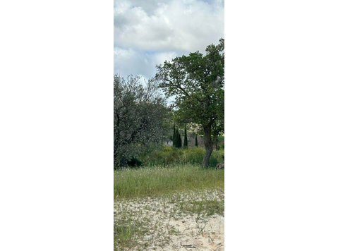 A residential plot located in the Armou  community within… - בתים