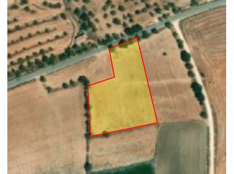 Agricultural field 5039 sqm very close to the Anarita with… - Talot