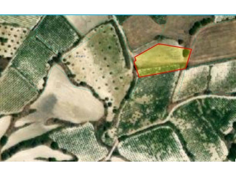 Agricultural land 1998sqm in Letymvou just in 2km distance… - Houses