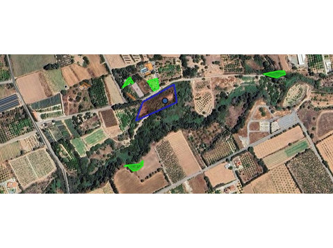 Agricultural land for sale in Kissonerga, Paphos,… - Houses
