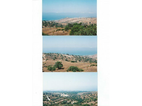 Agricultural land for sale in Tala village in Paphos. The… - Mājas