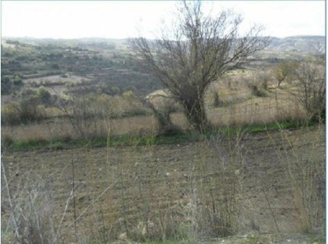 Agricultural land in Drymou village, in Paphos District.… - Huizen