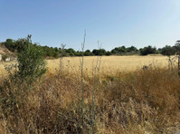 Agricultural land is available for sale in Marathounta… - Müstakil Evler