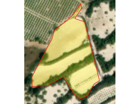 Agricultural land located in Koili, Paphos.The size of the… - Maisons