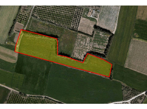 Agricultural land located in Timi, Paphos.The size of the… - Huizen