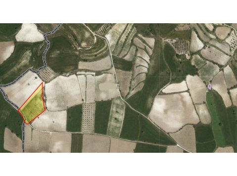 Agricultural land of 5937sqm located in Polemi with water… - Houses