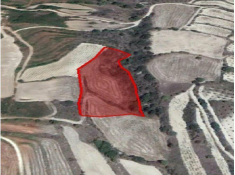 Agricultural plot in Drymou village, in Paphos District.… - Domy