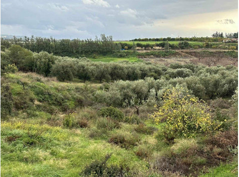 Agriculture land for sale at Nikokleia -Paphos.

Take the… - Häuser