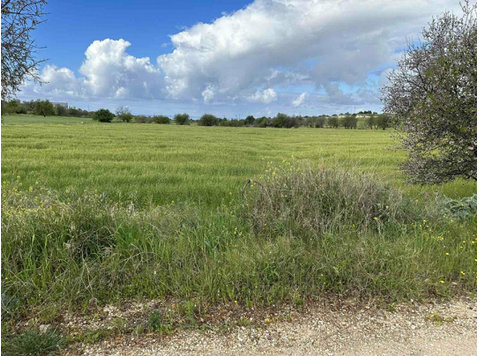 Agriculture land for sale near Paphos.

A privileged area… - Houses