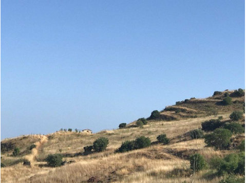 Field in Agricultural Zone of Episkopi village in Paphos… - Houses