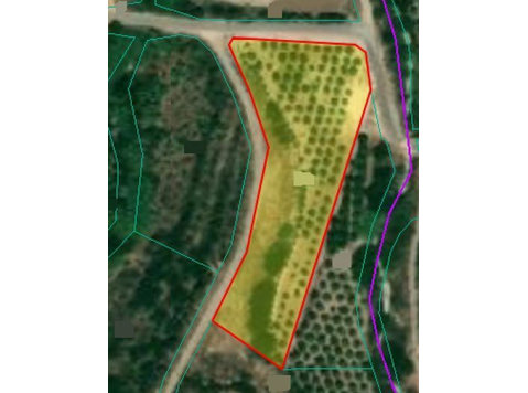 For sale agricultural land of 6083m² in Polis Chrisohous… - Houses