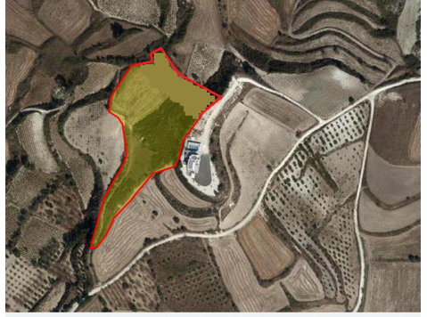 For sale agriculture land in Stroumbi village in Paphos.The… - Casas