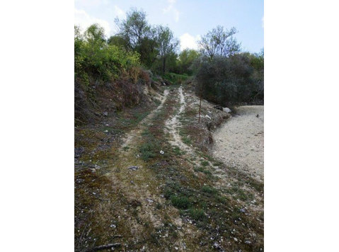 For sale residential land in Letymbou, Paphos. The size of… - Müstakil Evler