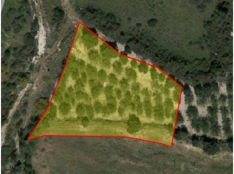 Industrial land in Drouseia, Paphos.The size of this land… - Huizen