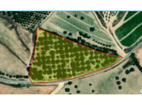 Land for sale  - 5352sq.m. near the municipality of Polis… - Houses