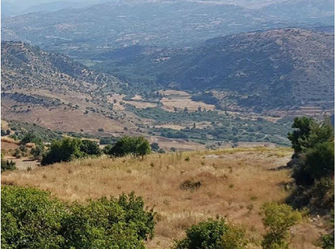Land in Protection Zone of Episkopi village in Paphos… - Huizen