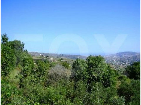 Large plot of land above Stroumbi village, over 10,500 m2… - Houses