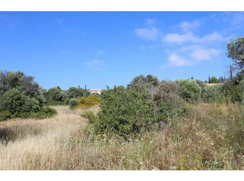 Plot for sale in the most privileged location of Aphrodite… - Házak