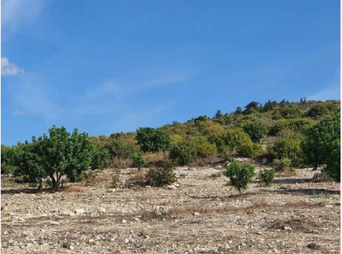 Plot in Koili community, in Paphos District. It is situated… - บ้าน