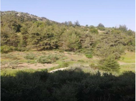 Plot in Pano Panagia village, in Paphos District. It is… - בתים