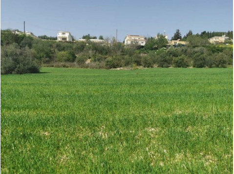 Residential field in Theletra community, in Paphos… - 주택
