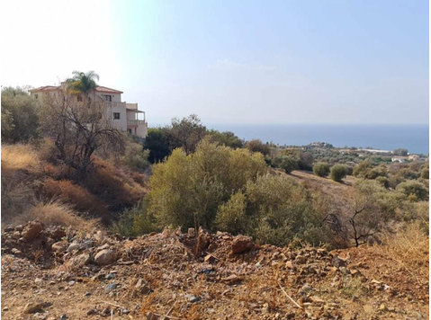 Special Offer:Residential land for sale in Nea Dimmata,… - 房子
