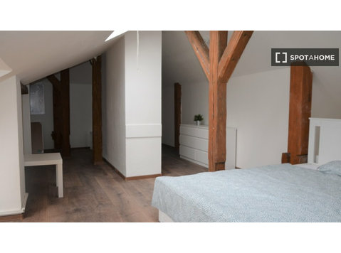 Prag'da 6 yatak odalı dairede kiralık oda - Kiralık