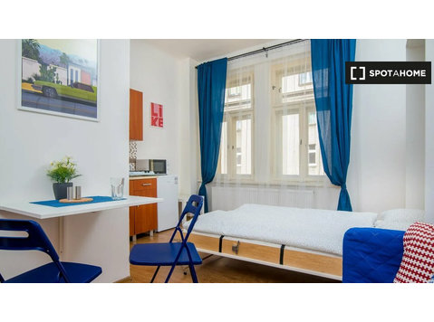 Einzimmerwohnung zur Miete in Jezerka, Prag - Wohnungen