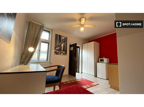 Studio apartment for rent in Žižkov, Prague - דירות