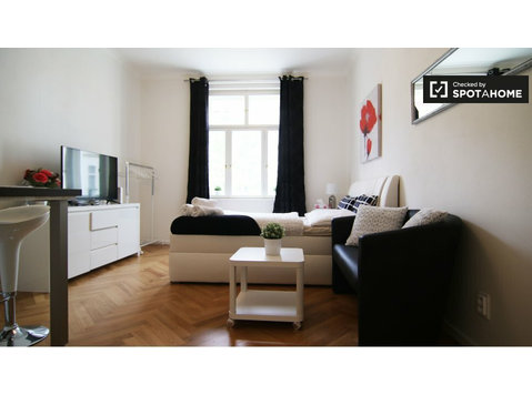 Sonniges Studio-Apartment zur Miete in Prag 3, Prag - Wohnungen