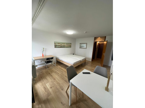 Studio appartment in Nürnberg with good Remote work… - 	
Uthyres
