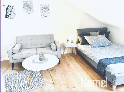 Confortable 1 pièce meublé avec balcon - Appartements
