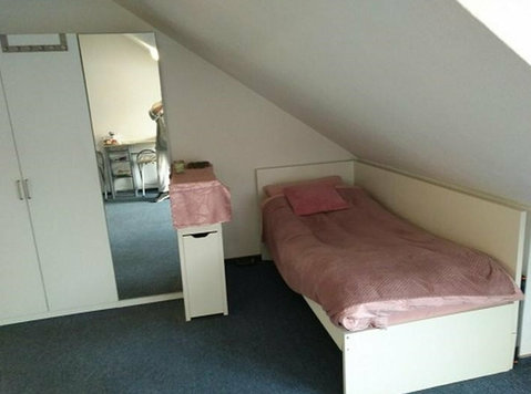 1 Zi Wohnung 30419 Hannover nahe Luh + Maschinenbau Campus - Asunnot