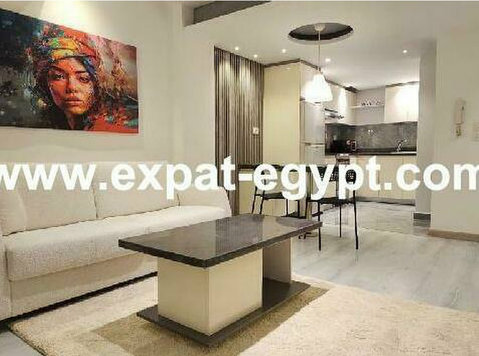 5754-Apartment for Rent in Zamalek, Cairo, Egypt - 公寓
