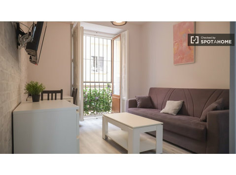 1-pokojowe mieszkanie do wynajęcia w Lavapies, Madryt - Mieszkanie