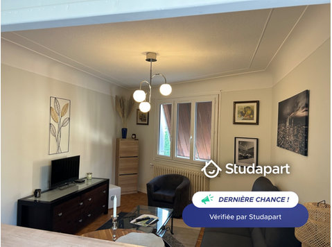 Appartement F2 de 45 m2 entièrement meublé dans un… - À louer