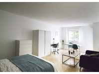 Beautiful 25m² bedroom in Grenoble - アパート