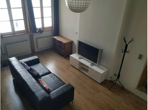 Cosy flat in the heart of LYON city centre - Te Huur