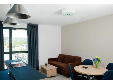 Lyon Gerland - Amazing fully furnished 1-BR apartment - Kiadó