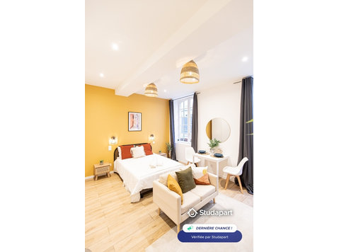 Appartement entièrement rénové a neuf en hyper centre de… - Cho thuê