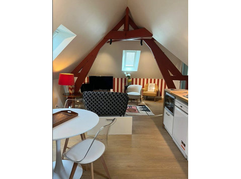 Hidden treasure, Grand Flat Luxurious Centre Halles - For Rent