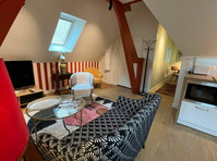 Hidden treasure, Grand Flat Luxurious Centre Halles - Аренда