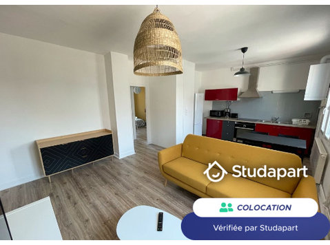 Vous rejoindrez une colocation de 3 étudiants (4 avec… - À louer